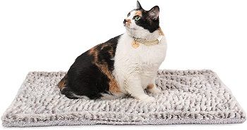 Self-Heating Cat Pad Model